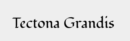 Tectona Grandis