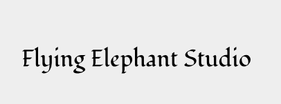 Flying Elephant Studio