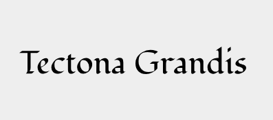 Tectona Grandis